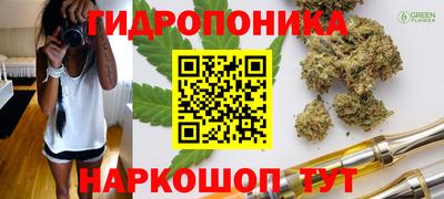 скорость Камышлов