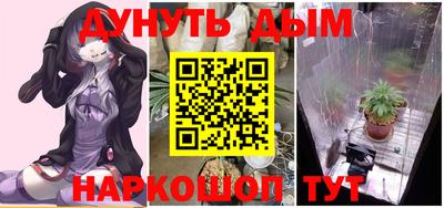 амф Кандалакша