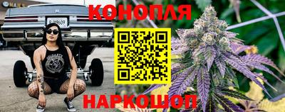 амф Кандалакша