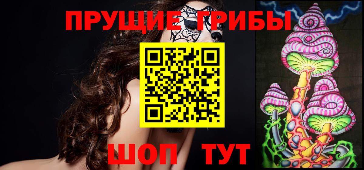 Галлюциногенные грибы MAGIC MUSHROOMS  Вход с VPN  Новосибирск 